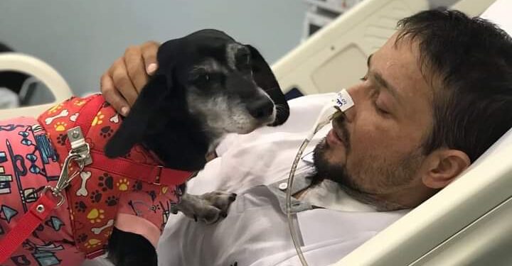 Foto: Divulgação/HMD