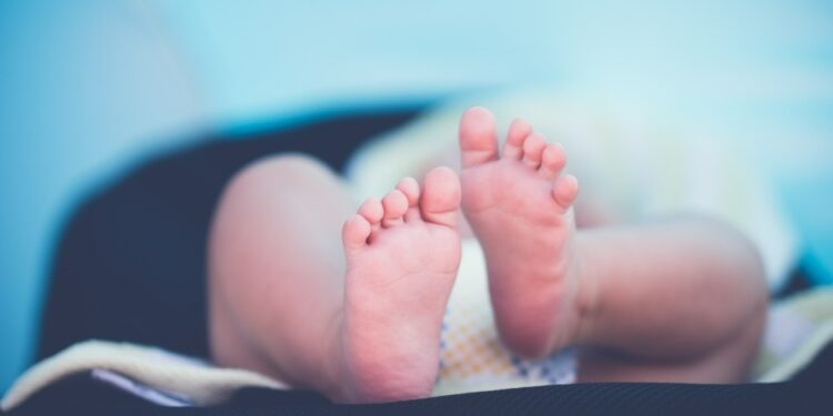 bebê