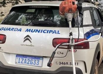 Foto: Guarda Municipal de Cachoeirinha