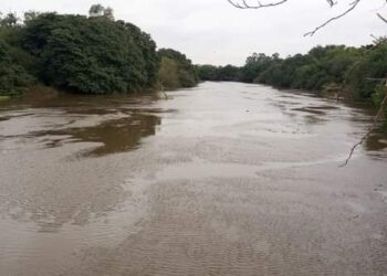 Foto: Divulgação/Prefeitura de Cachoeirinha