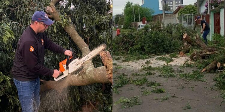 Foto: Reprodução/Redes Sociais