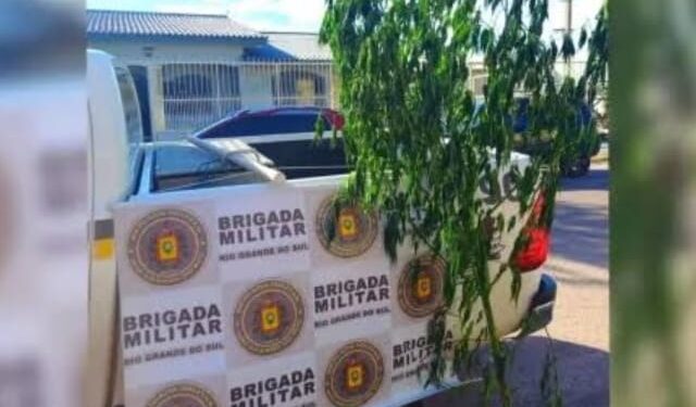 Foto: Divulgação/Brigada Militar