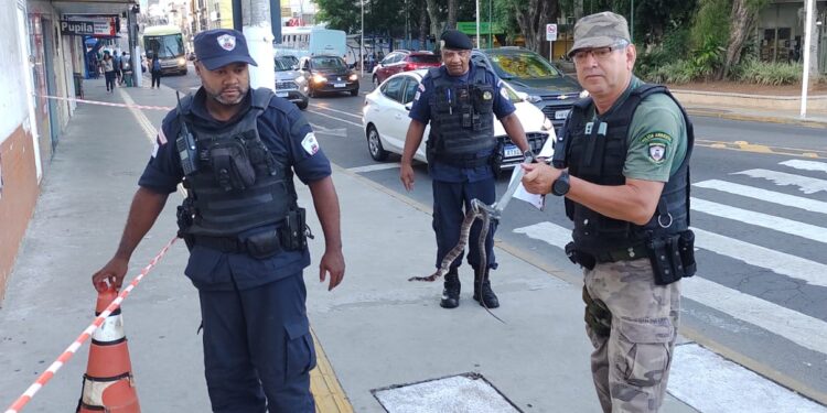 Foto: Divulgação/PMG