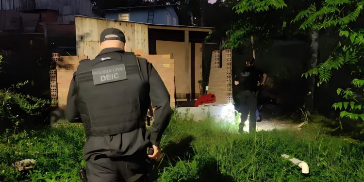 Foto: Divulgação/Polícia Civil