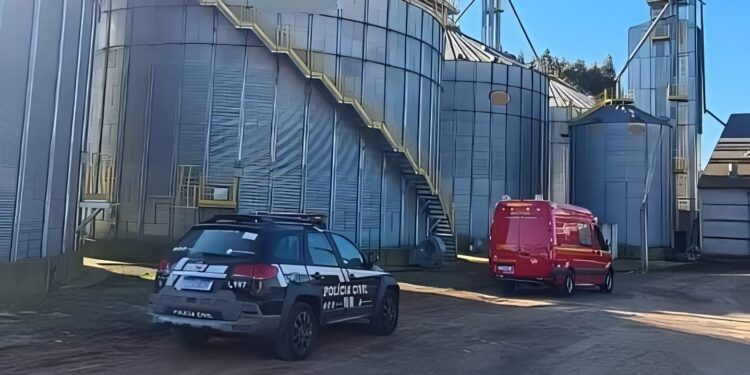 Foto: Divulgação/Polícia Civil