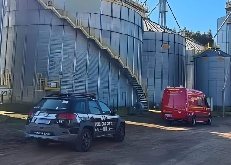 Foto: Divulgação/Polícia Civil