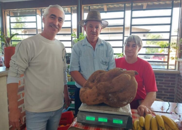 Foto: Edna Cardoso/Prefeitura de Rolante