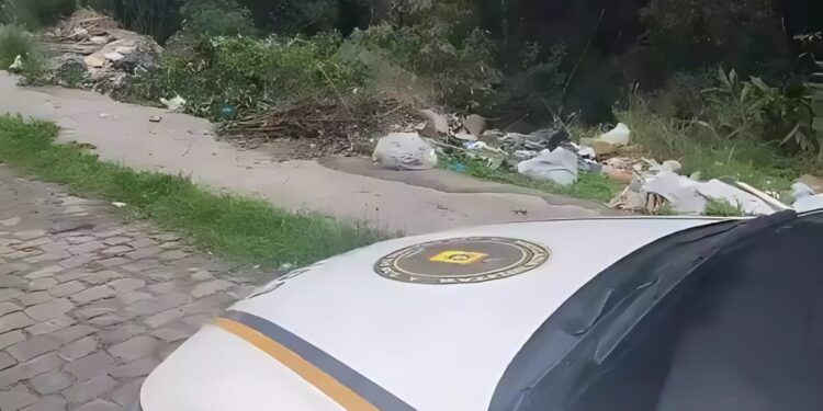 Foto: Reprodução/Redes Sociais