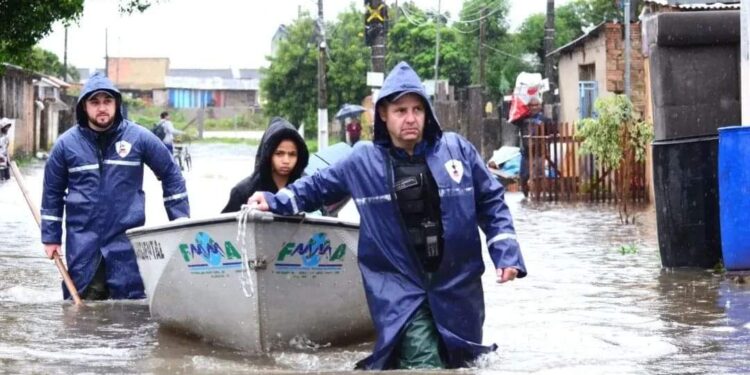 Foto: Tiago Cechinel/PMG