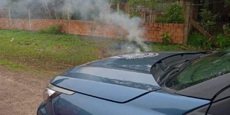 Foto: Divulgação/GMI