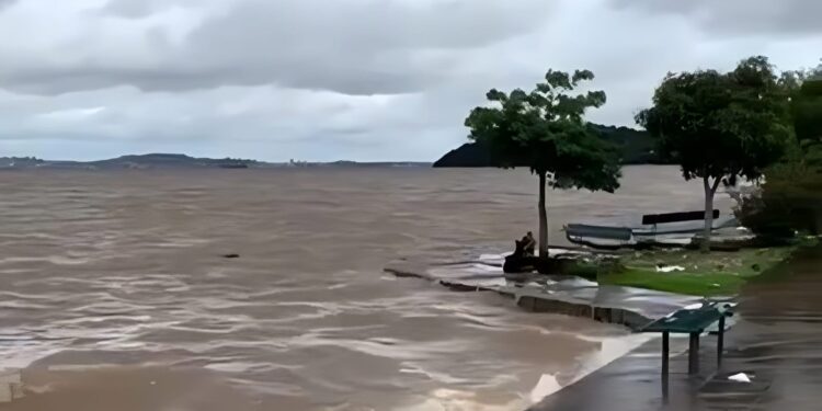 Foto: Reprodução/Redes Sociais