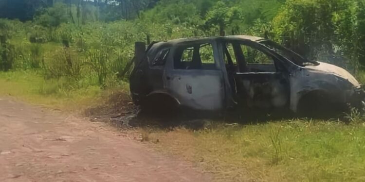 Foto: Divulgação/Polícia Civil