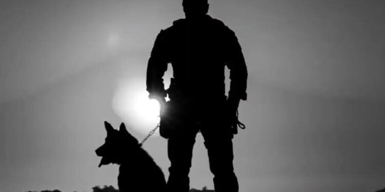 Foto: Divulgação/Brigada Militar