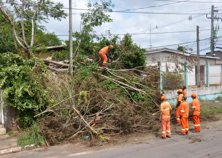 Foto: Tiago Cechinel/PMG