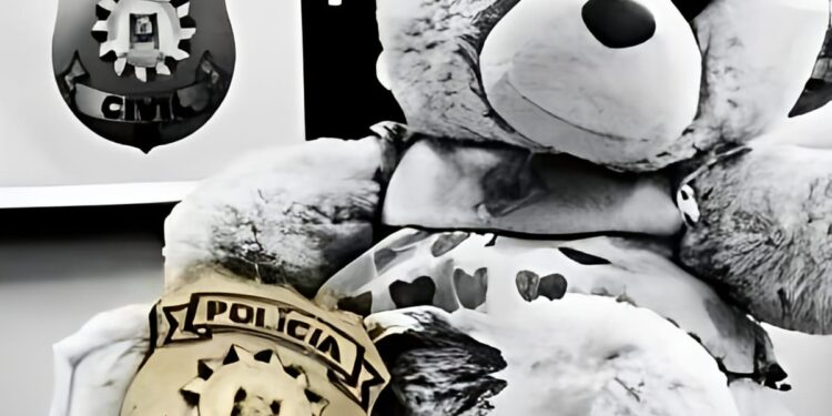 Foto: Polícia Civil/Ilustrativa