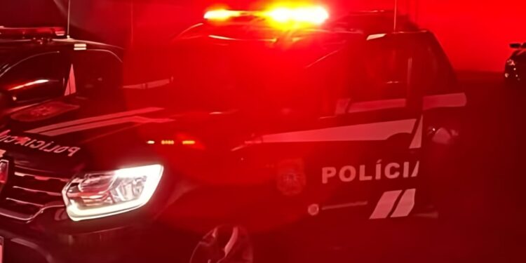 Foto: Divulgação/Polícia Civil