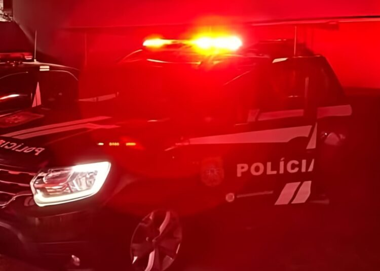Foto: Divulgação/Polícia Civil
