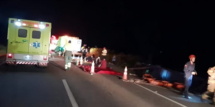 Foto: Divulgação/EcoSul