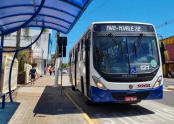 Foto: Divulgação/Sogil