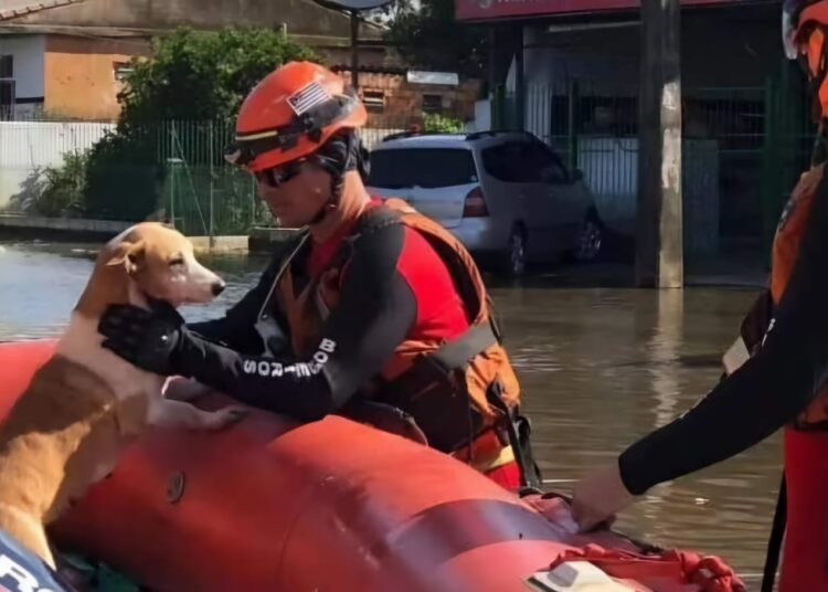 Foto: Divulgação/Governo de São Paulo