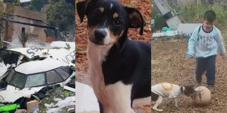 Foto: Reprodução/Redes Sociais