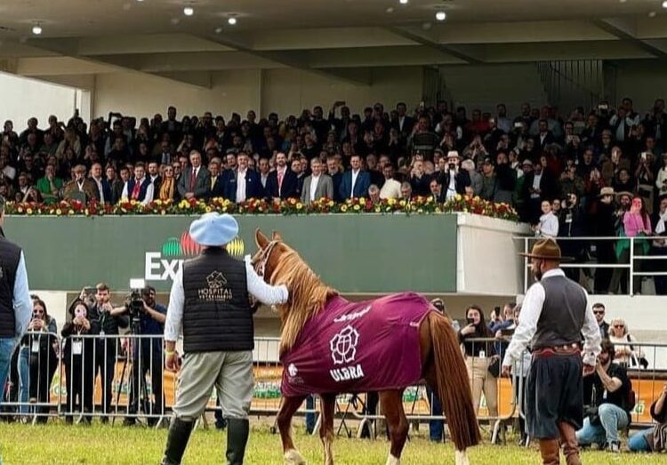 Foto: Divulgação/Cavalo Caramelo Oficial