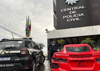 Foto: Divulgação/Polícia Civil