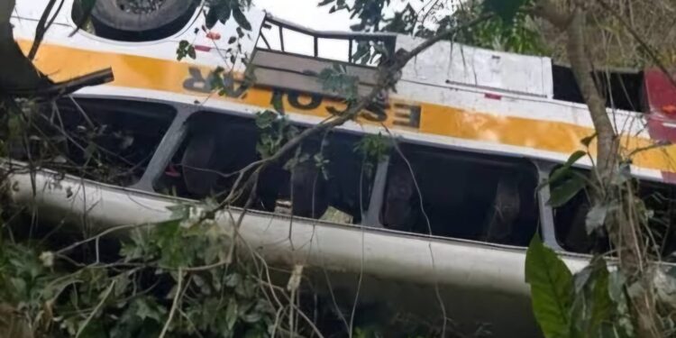 Foto: Reprodução/Redes Sociais