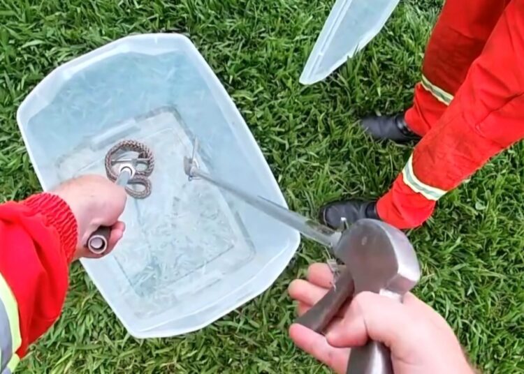 Foto: Corpo de Bombeiros Voluntários de Igrejinha