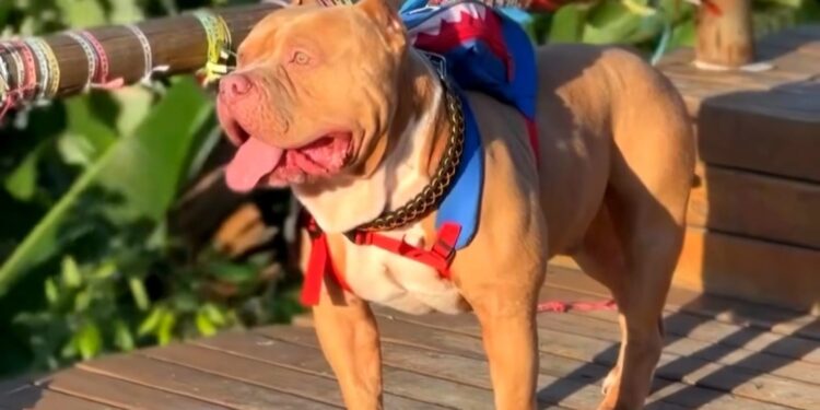 Foto: Reprodução/Ragnar