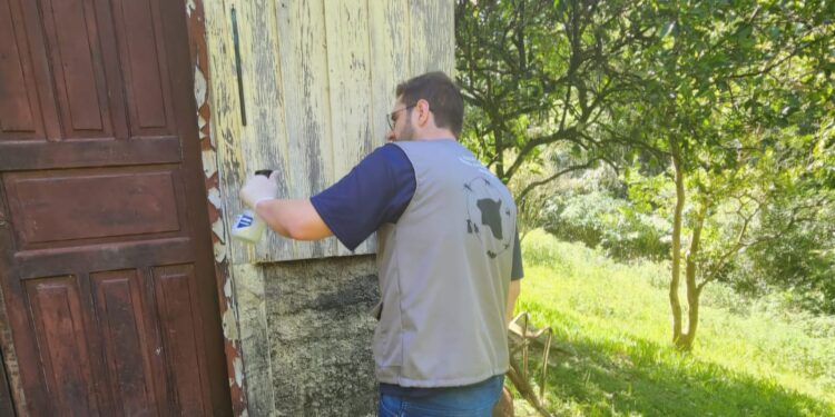 Fotos: Divulgação/SMS