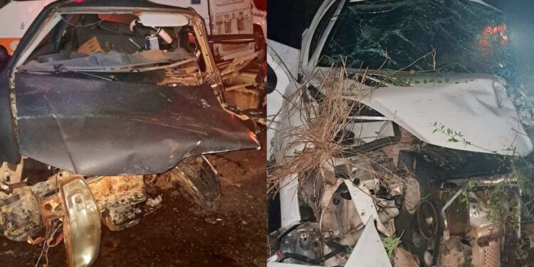 Foto: Divulgação/S.O.S Trauma
