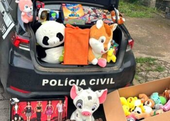 Foto: Divulgação/Polícia Civil