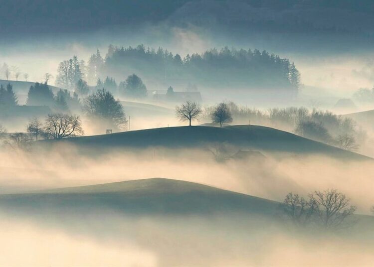 Foto: Reprodução/Ilustrativa