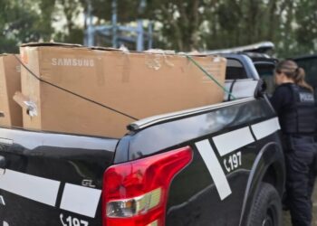 Foto: Divulgação/Polícia Civil