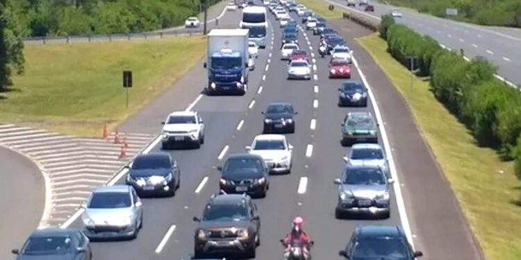 Carros na freeway