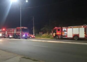 Foto: Reprodução/Criarte