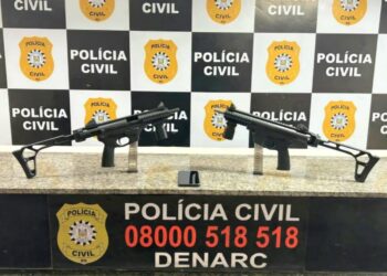Foto: Divulgação/Polícia Civil