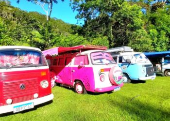 Foto: Reprodução/Kombi Pink