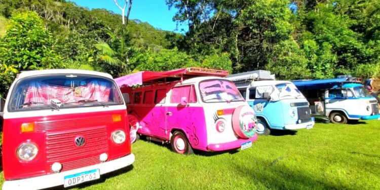 Foto: Reprodução/Kombi Pink