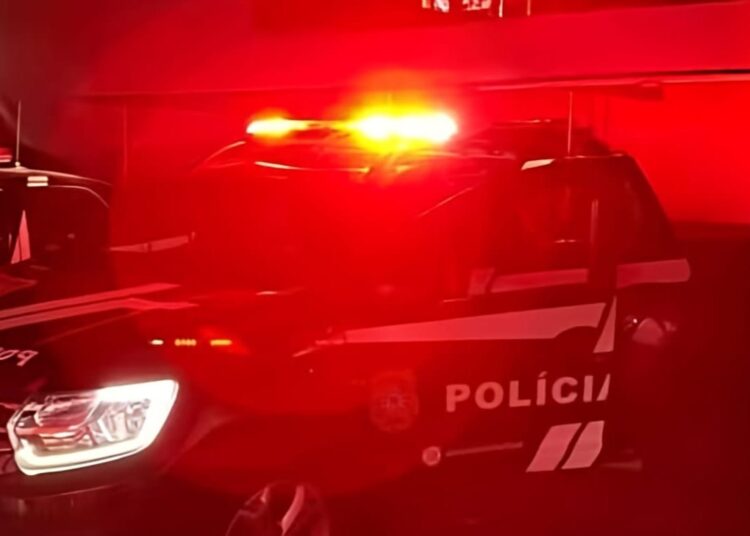 Foto: Reprodução/Polícia Civil
