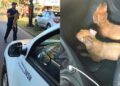 Foto: Fiscalização de Trânsito de Cachoeirinha