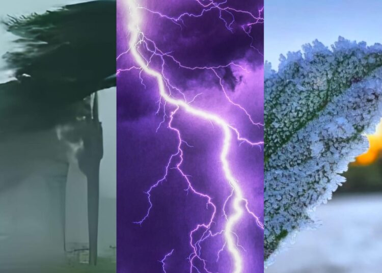 Foto: G24/Ilustrativa