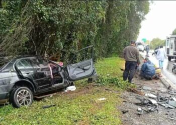 Foto: Parceiro/Panambi News