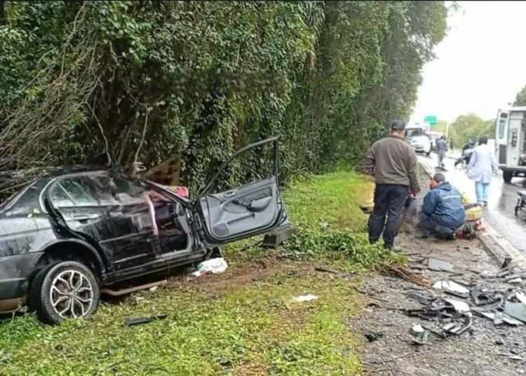 Foto: Parceiro/Panambi News