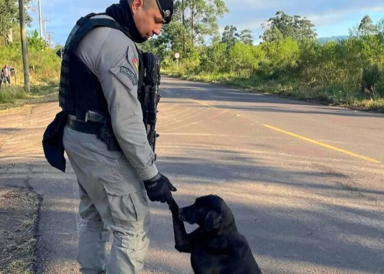 Foto: Divulgação/BM