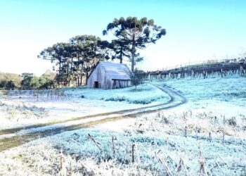 Foto: Elenice Bondan/Especial