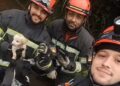 Foto: Divulgação/Bombeiros Voluntários Araricá