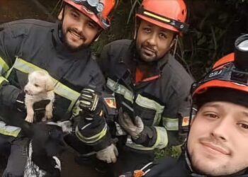 Foto: Divulgação/Bombeiros Voluntários Araricá
