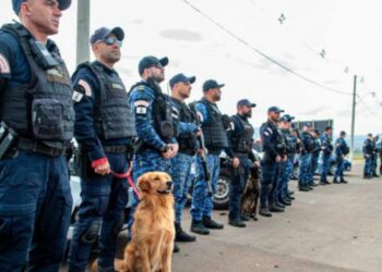 Foto: Divulgação/PMG